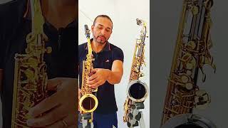 Diferenças sax alto e tenor [upl. by Mcclenaghan222]