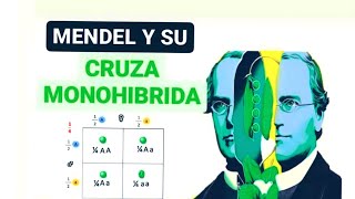 1 Introducción a la genética mendeliana conceptos básicos y cruza monohíbrida [upl. by Martita]