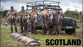 Goose Hunting in SCOTLAND PinkFooted Geese are AWESOME [upl. by Sidoon706]