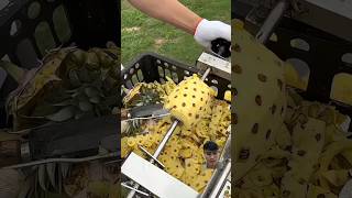 How to peel a pineapple in a sec food peeling amazing viralvideo [upl. by Llekcm]