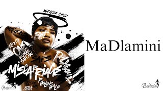 Makhadzi Entertainment  MaDlamini Official Audio [upl. by Foushee]