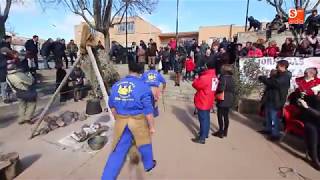 Huida del cerdo en la Matanza Típica de Guijuelo [upl. by Yesdnyl]