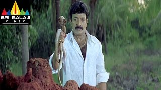 Gorintaku Movie Rajasekhar Meera Jasmine Scene  Rajasekhar Aarti Agarwal  Sri Balaji Video [upl. by Bowra]