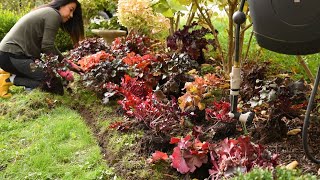 Planting 21 Heucheras in my GARDEN 🌿 Soil amp Margaritas [upl. by Ronald]