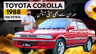 Toyota Corolla 1988  Best Car In Budget [upl. by Ennirak747]