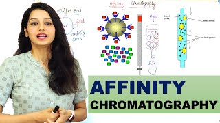 Affinity chromatography I Basic and Detailed Explanation I Techniques [upl. by Ennayhc]