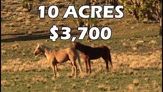 Cheap Land for Homesteading Scouting 10 Acres for 3750 Grand Canyon Arizona EP 1 [upl. by Darius825]