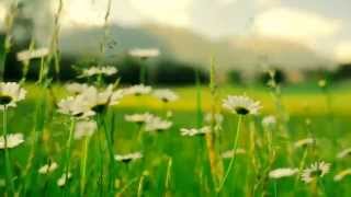 Malayalam Christian Song  Prabathathil Unarnnu 1920x1080 HD [upl. by Trudie]