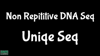 Non Repititive DNA Sequence  Unique DNA sequences  Single Copy Sequences [upl. by Eletnahs]