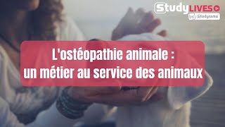 Lostéopathie animale  un métier au service des animaux [upl. by Ignace]