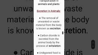 What is Excretion in Animals Class 7 ScienceTransportation in Animals and Plants [upl. by Cullie]