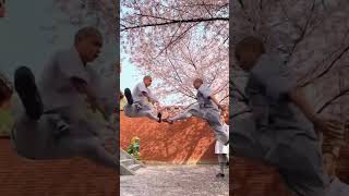 Shaolin Monk Acrobatic Training 💥👊👌 Demonstration shorts [upl. by Adiarf]