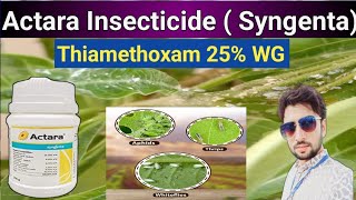 Actara Insecticide Syngenta  Thiamethoxam 25 WG  Systemic Insecticide [upl. by Anrev]