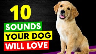 10 Sounds Your Dog Will Love [upl. by Etnovert]