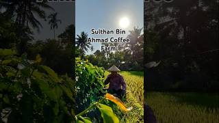 ARABICA COFFEE SULTHAN BIN AHMAD 1 ST ANNIVERSARY [upl. by Nairadas]