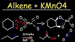 Alkene  KMnO4 Reaction [upl. by Anson210]