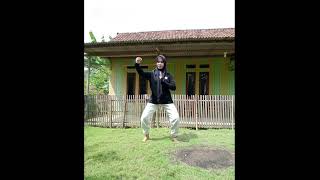 Teknik pukulan dalam pencak silat [upl. by Philipa325]