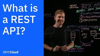 What is a REST API [upl. by Oslec705]