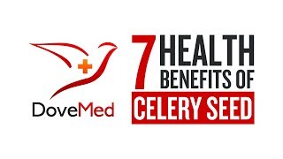 7 Health Benefits Of Celery Seeds [upl. by Eilatan567]