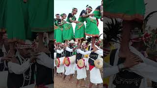 Gondi Pathaaadivasi nrityagondigondi song dance video [upl. by Gatian]