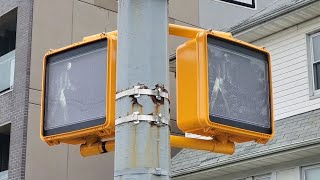 247 Walk Sign in NYC Pedestrian Signals 2 [upl. by Annel]