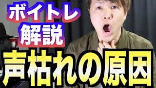 【カラオケ上達】声が枯れやすい人の原因【IKKI式ボイトレ】15 ボイストレーニング [upl. by Lanam]