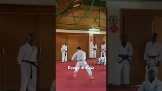 Looking at the different types of Keage in Kata hdki hdkikarate stuartamoskarate [upl. by Inalawi]