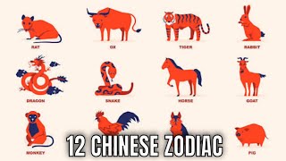 The 12 Chinese Zodiac Signs amp What They Mean for Your Personality And The Year Ahead  Ziggy Natural [upl. by Sherwin]