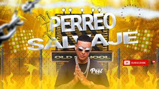 MIX PERREO SALVAJE🔥😈Top clásicos del reggaetonPorqueTe demorasBailamorenaGasolina DEEJAYPOOL [upl. by Michon]