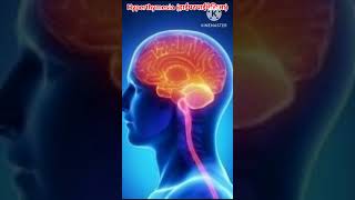 Hyperthymesia हाइपरथाईमेसिया  Scopin  rohittanueducationchannel shorts education [upl. by Akihsay635]