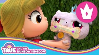 True and the Rainbow Kingdom  Frookie the Puppy Dog Compilation  Season 2 Episodes [upl. by Yolanthe82]