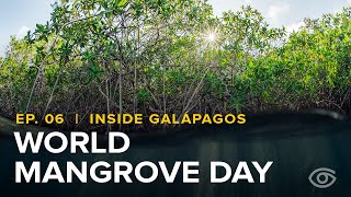 Episode 6  Inside Galápagos  Lindblad Expeditions [upl. by Leonteen]