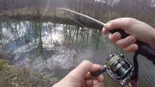 Drop Shot Fishing A TINY Stream [upl. by Halludba679]