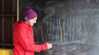 How to  Prune Grape Vines [upl. by Dorisa]