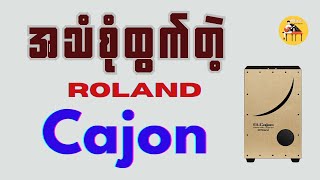 အသံစုံထွက်တဲ့ Roland EL Cajon EC10 Electronic Cajon Test cajon [upl. by Longerich20]