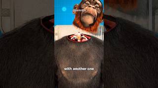 Monkey Head Transplant😳 Explained shorts youtubeshorts [upl. by Eojyllib501]