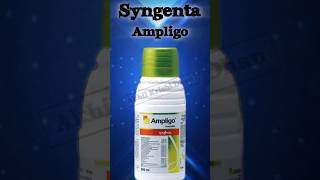 Syngenta Ampligo pod Borer Semi Looper Girdle Looer Insects ko control agriculture farming [upl. by Ilowell75]