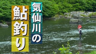 気仙川の鮎釣り【2024年7月1日】 [upl. by Rhett]