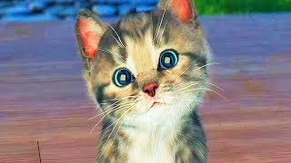 Little Kitten My Favorite Cat Compilation  Cartoon Games Kids TV [upl. by Avot]