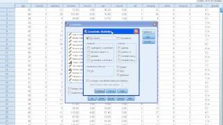 SPSS Tutorials Cross Tabulation [upl. by Layton]