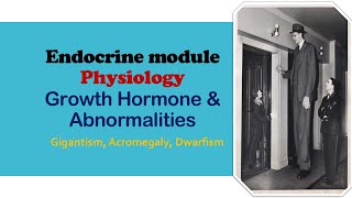 Growth hormone  Physiology  Endocrine module [upl. by Leisha]