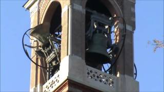 Le campane di Milano Chiesa di Santa Maria del Rosario  Concerto funebre [upl. by Shah]