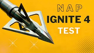 NAP IGNITE 4 Broadhead Test [upl. by Eiramesor]