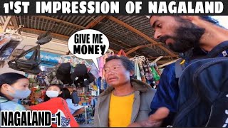 NL1 First impression of Nagaland thetalltrotter [upl. by Irik]