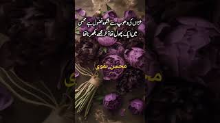 Mohsin Naqvipoetry loveisthebaceoflife sad [upl. by Laurentia515]