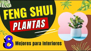 💫 FENG SHUI Plantas 2024 ☘️▶︎ 8 Mejores Plantas de Interior para activar el buen Feng Shui [upl. by Nuarb883]