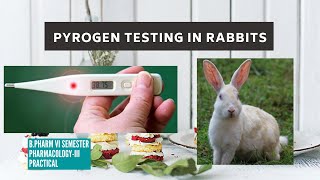 Test for Pyrogens Rabbit method [upl. by Mic]