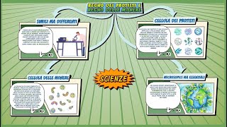 Protisti e monere  Scienze  ComicsampScience  Schooltoon  Elementari e Medie [upl. by Illah]