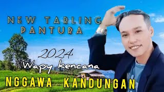 NGGAWA KANDUNGAN bocoran lagu tarling terbaru 2024 wapy kencana  Cipt Arr  ilut technics [upl. by Mowbray]