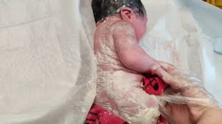 Newborn baby just after birth only few seconds old covered in Vernix Caseosa babiesvideos video [upl. by Chiles]